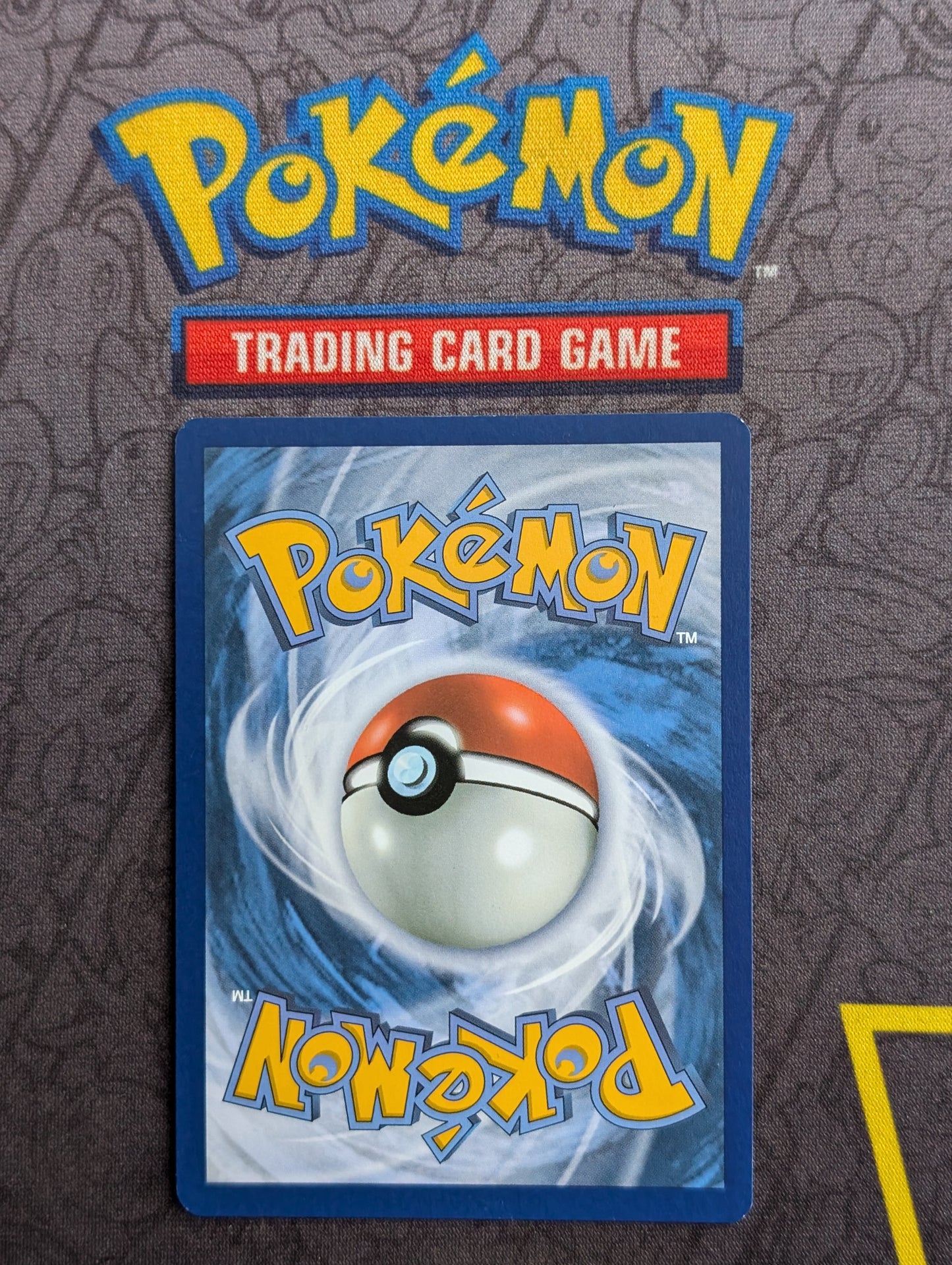 Pokémon - Greninja Ex - 214/167 - Twilight Masquerade - Special Illustration - Near Mint - Back View